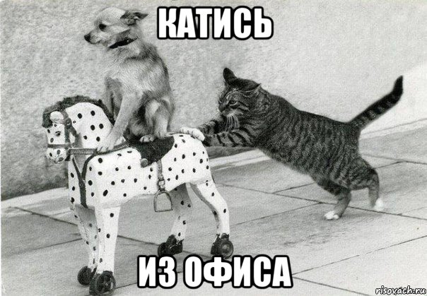 катись из офиса, Мем Катись к хуям