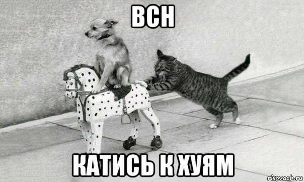bch катись к хуям