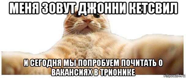 меня зовут джонни кетсвил и сегодня мы попробуем почитать о вакансиях в трионике