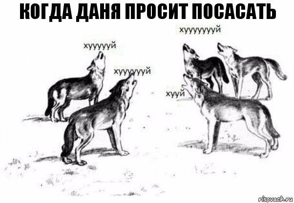 Когда Даня просит посасать