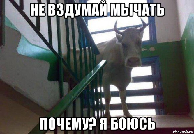 не вздумай мычать почему? я боюсь