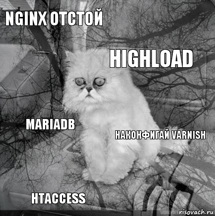 nginx отстой наконфигай varnish highload htaccess MariaDB     , Комикс  кот безысходность