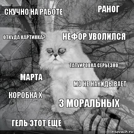 скучно на работе мо не накидывает Нефор уволился гель этот еще марта раног 3 моральных откуда картинка? коробка Х татуировка серьезно, Комикс  кот безысходность