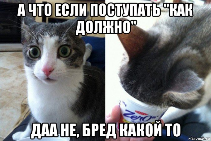 а что если поступать "как должно" даа не, бред какой то