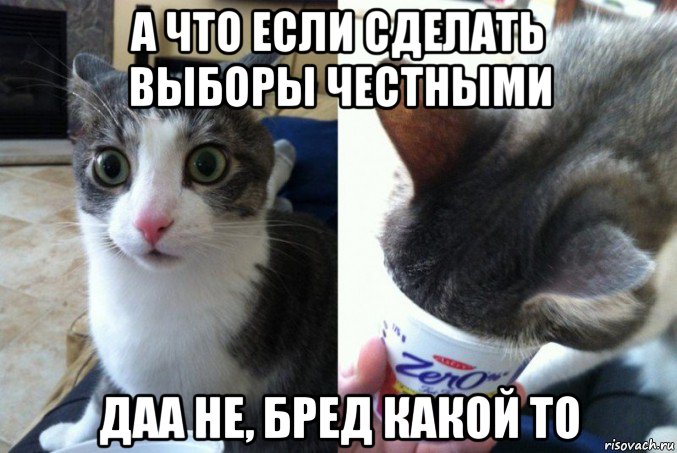 а что если сделать выборы честными даа не, бред какой то