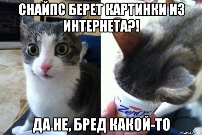 снайпс берет картинки из интернета?! да не, бред какой-то