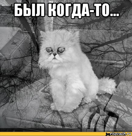 был когда-то... , Мем Кот депрессия
