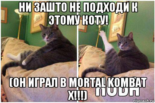 ни зашто не подходи к этому коту! (он играл в mortal kombat x!!!), Комикс Кот Хоба