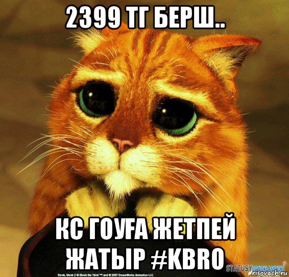 2399 тг берш.. кс гоуҒа жетпей жатыр #kbro, Мем Котик из Шрека