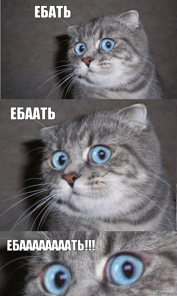 Ебать ЕБААТЬ ЕБААААААААТЬ!!!, Комикс  котейка