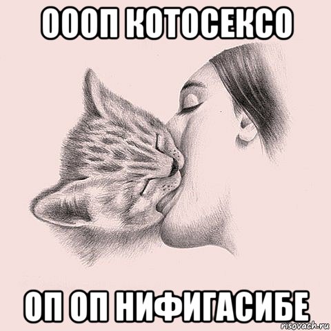 оооп котосексо оп оп нифигасибе, Мем котосекс