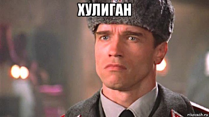 хулиган 