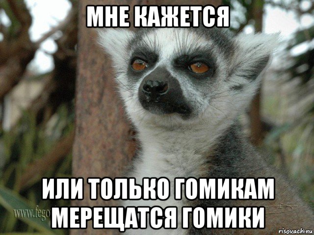 мне кажется или только гомикам мерещатся гомики
