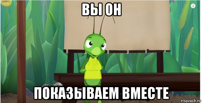 вы он показываем вместе