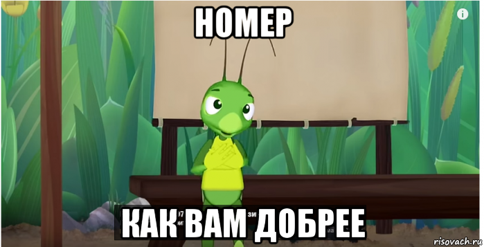 номер как вам добрее