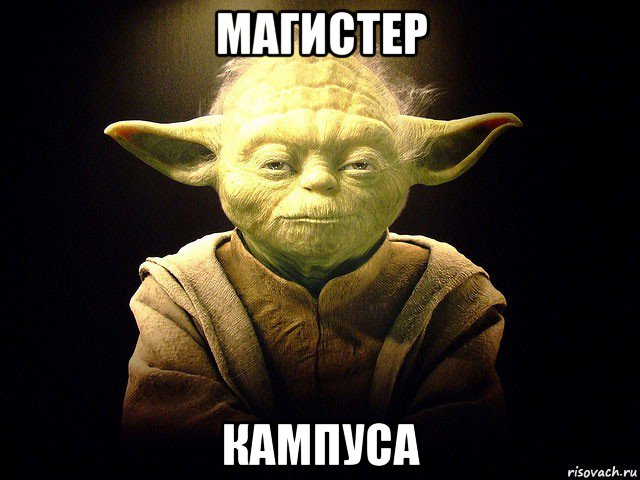 магистер кампуса