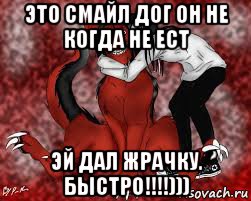 это смайл дог он не когда не ест эй дал жрачку. быстро!!!!)))
