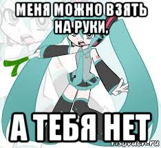 меня можно взять на руки, а тебя нет, Мем Мику Хацуне