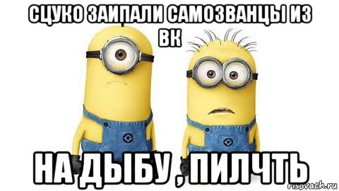 сцуко заипали самозванцы из вк на дыбу , пилчть