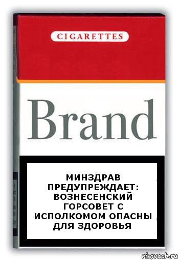 Минздрав предупреждает:
Вознесенский горсовет с исполкомом опасны для здоровья, Комикс Минздрав