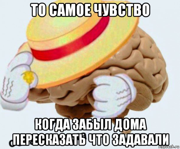 то самое чувство когда забыл дома пересказать что задавали, Мем   Моя остановочка мозг