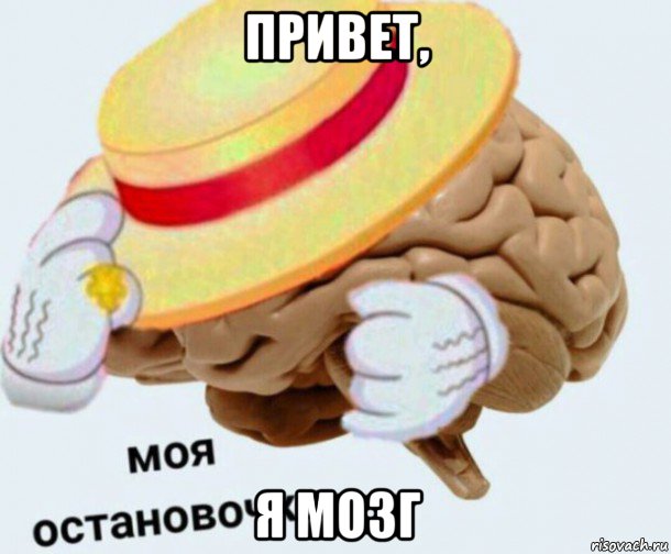 привет, я мозг, Мем   Моя остановочка мозг