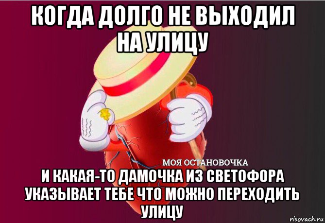 когда долго не выходил на улицу и какая-то дамочка из светофора указывает тебе что можно переходить улицу, Мем   Моя остановочка