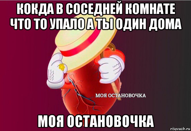 кокда в соседней комнате что то упало а ты один дома моя остановочка, Мем   Моя остановочка