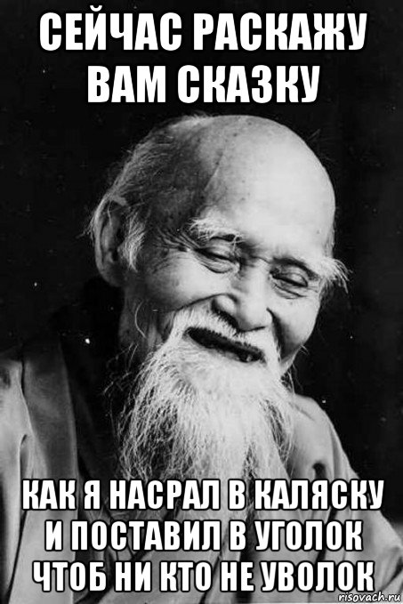 сейчас раскажу вам сказку как я насрал в каляску и поставил в уголок чтоб ни кто не уволок, Мем мудрец улыбается