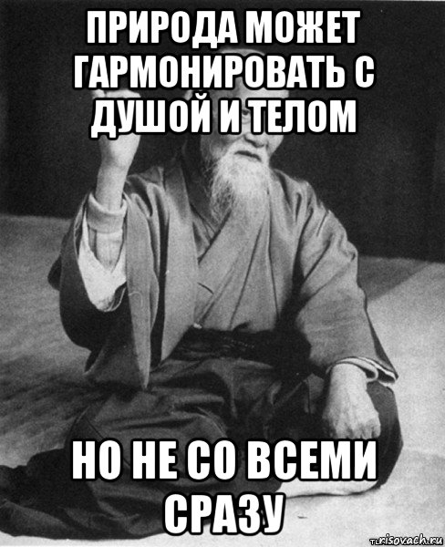 природа может гармонировать с душой и телом но не со всеми сразу