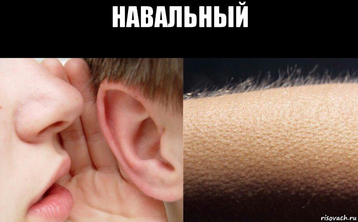 навальный 