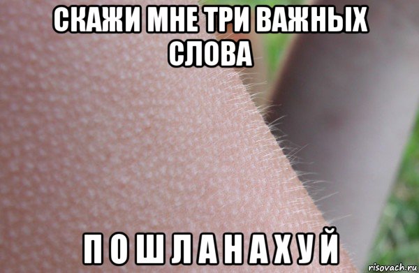 скажи мне три важных слова п о ш л а н а х у й