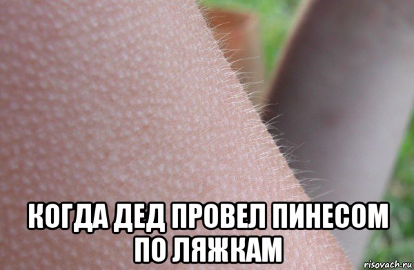  когда дед провел пинесом по ляжкам