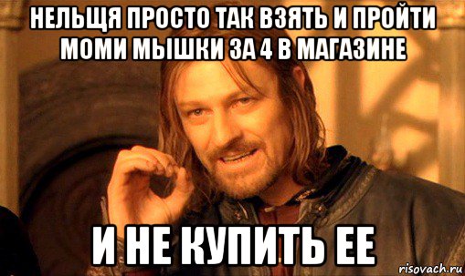 нельщя просто так взять и пройти моми мышки за 4 в магазине и не купить ее, Мем Нельзя просто так взять и (Боромир мем)