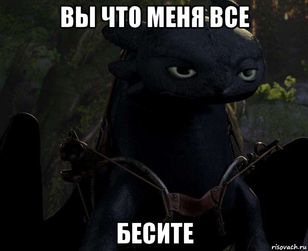 вы что меня все бесите