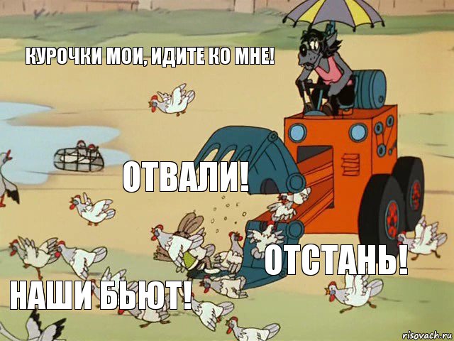 Курочки мои, идите ко мне! Отвали! Отстань! Наши бьют!