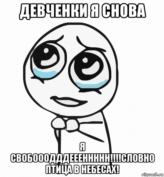 девченки я снова я свобооодддеееннннн!!!!словно птица в небесах!, Мем  ну пожалуйста (please)