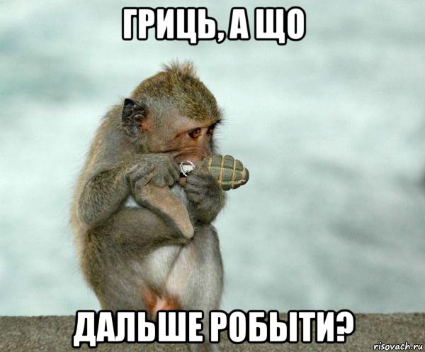 гриць, а що дальше робыти?