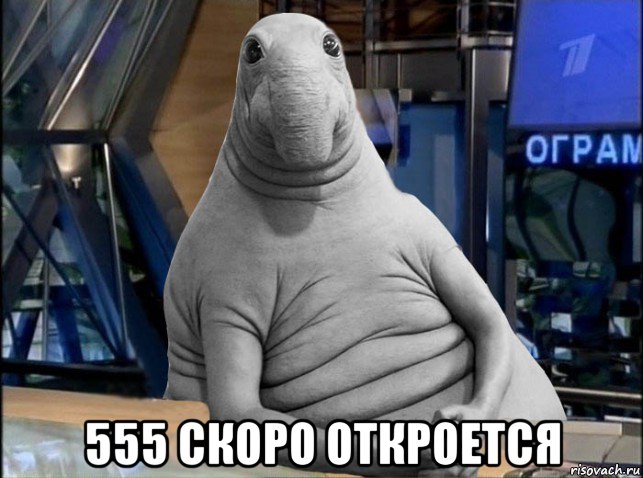  555 скоро откроется