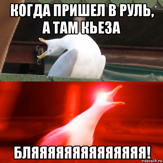 когда пришел в руль, а там кьеза бляяяяяяяяяяяяяя!