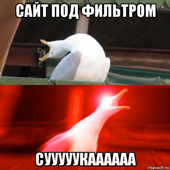 сайт под фильтром сууууукаааааа