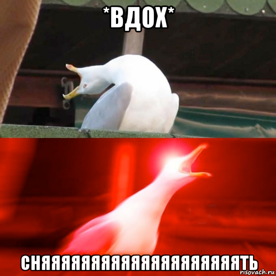 *вдох* сняяяяяяяяяяяяяяяяяяяять