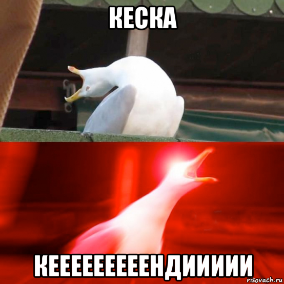 кеска кееееееееендиииии