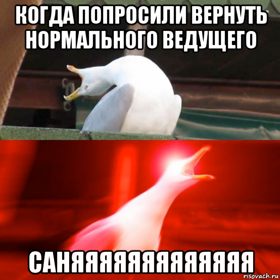 когда попросили вернуть нормального ведущего саняяяяяяяяяяяяя