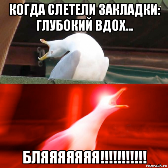 когда слетели закладки: глубокий вдох... бляяяяяяя!!!!!!!!!!!