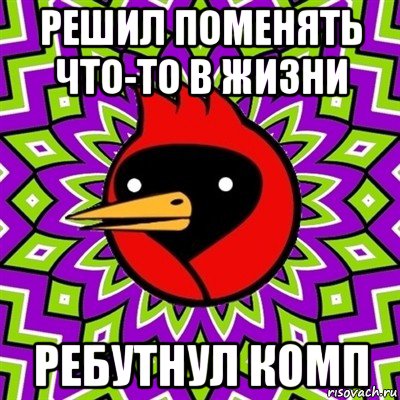 решил поменять что-то в жизни ребутнул комп, Мем Омская птица