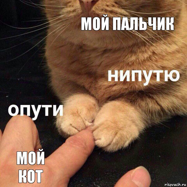 Мой пальчик Мой кот, Комикс Опути нипутю