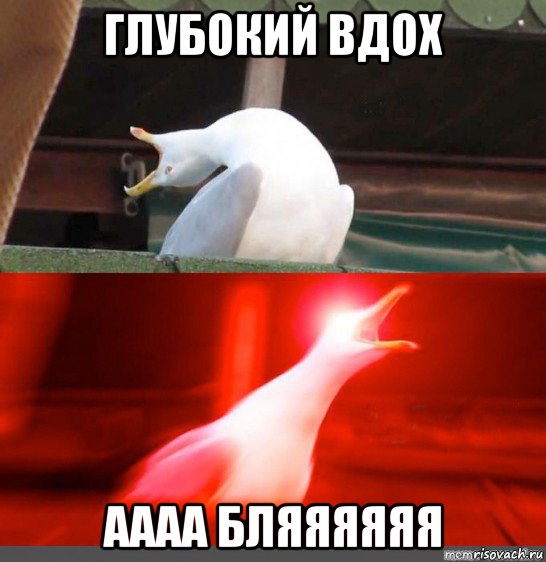 глубокий вдох аааа бляяяяяя, Мем Орущий гусь