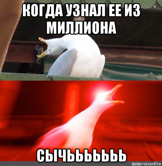когда узнал ее из миллиона сычььььььь