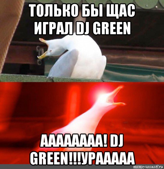 только бы щас играл dj green аааааааа! dj green!!!урааааа